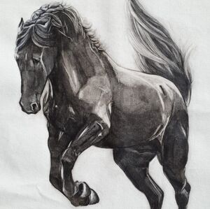 Majestic Black Horse Canvas Art